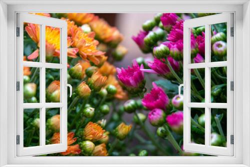 Fototapeta Naklejka Na Ścianę Okno 3D - flower5