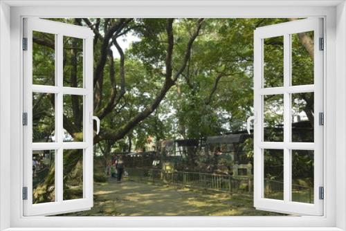 Fototapeta Naklejka Na Ścianę Okno 3D - Ninoy Aquino parks and wildlife rescue center animal cage in Quezon City, Philippines