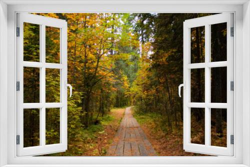 Fototapeta Naklejka Na Ścianę Okno 3D - A wooden path leads through the autumn forest