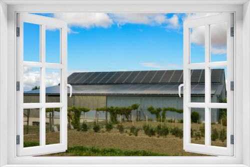 Fototapeta Naklejka Na Ścianę Okno 3D - modern farm in campaign
