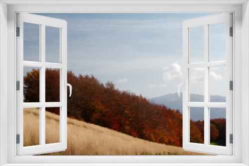 Fototapeta Naklejka Na Ścianę Okno 3D - Drzewa jesienią rosnące na zboczu góry  (Krajobraz jesienny)