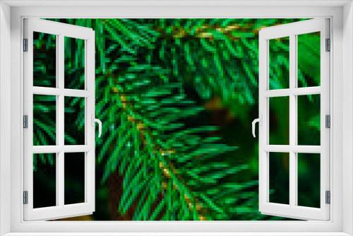 Fototapeta Naklejka Na Ścianę Okno 3D - christmas tree needles in macro photography
