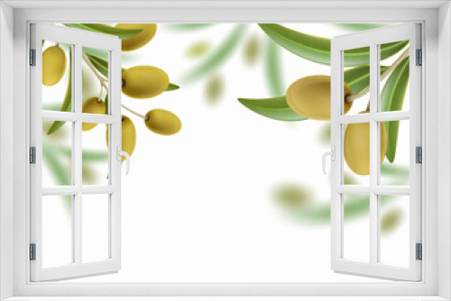 Fototapeta Naklejka Na Ścianę Okno 3D - Green olive tree with ripe fruits. Vector illustration.