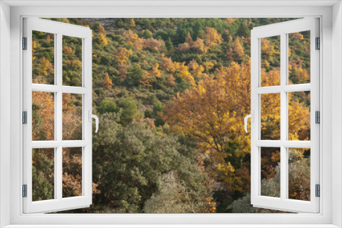 Fototapeta Naklejka Na Ścianę Okno 3D - Forest in the Natural Park of the Mountains and Canyons of Guara. Huesca. Aragon. Spain.