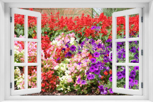 Fototapeta Naklejka Na Ścianę Okno 3D - Many Colored Flowers