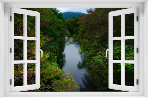 Fototapeta Naklejka Na Ścianę Okno 3D - 森の中を流れる川。釧路川、北海道。
