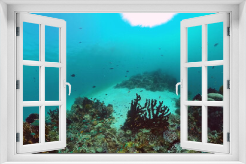 Fototapeta Naklejka Na Ścianę Okno 3D - Underwater Scene Coral Reef. Underwater sea fish. Tropical reef marine. Colourful underwater seascape. Panglao, Bohol, Philippines.