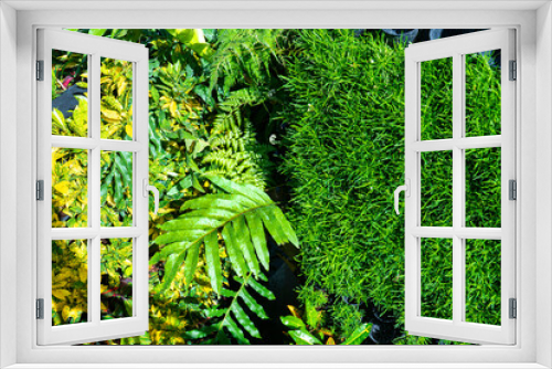 Fototapeta Naklejka Na Ścianę Okno 3D - Green tree wall for closeup textured background pattern