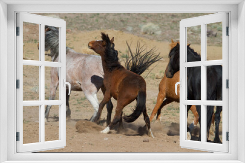 Fototapeta Naklejka Na Ścianę Okno 3D - herd of horses wild horses