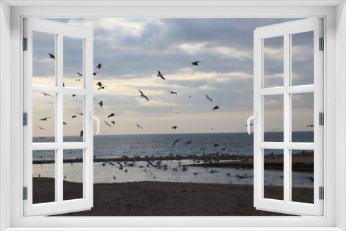 Fototapeta Naklejka Na Ścianę Okno 3D - Cielo con Aves
