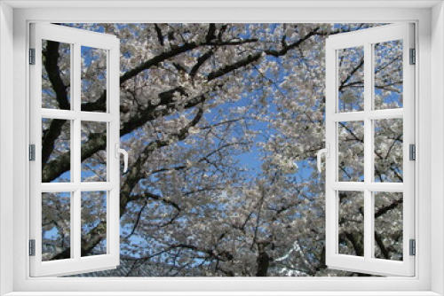 Fototapeta Naklejka Na Ścianę Okno 3D - Exif_JPEG_PICTURE