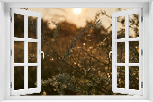 Fototapeta Naklejka Na Ścianę Okno 3D - Septembermorgen