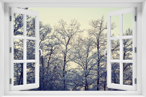 Fototapeta Naklejka Na Ścianę Okno 3D - Winter Forest