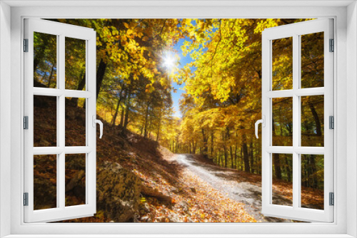 Fototapeta Naklejka Na Ścianę Okno 3D - Beautiful autumn forest. Autumn landscape. Road in the forest.