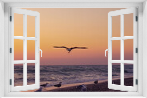 Fototapeta Naklejka Na Ścianę Okno 3D - Seagulls flying on the beach on bright sunset colorful sky. Beautiful landscape