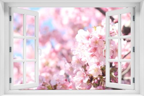 Fototapeta Naklejka Na Ścianę Okno 3D - Pretty and lovely pink cherry blossoms (Kawazu Zakura) wallpaper background, Tokyo, Japan, Soft Focus