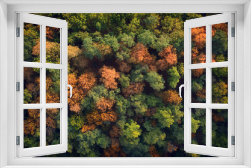 Fototapeta Naklejka Na Ścianę Okno 3D - Deciduous autumn forest, aerial view, pattern or texture.