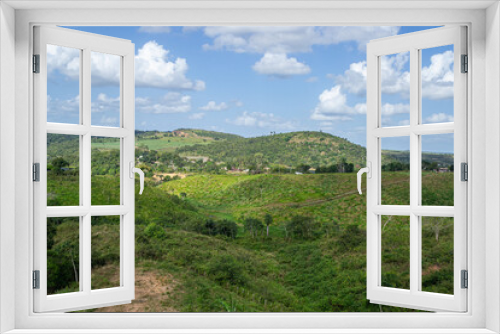 Fototapeta Naklejka Na Ścianę Okno 3D - Paudalho, interior of the state of Pernambuco. Countryside life.