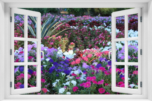 Fototapeta Naklejka Na Ścianę Okno 3D - bright flower bed with different shades of flowering plants that make up the natural background of a summer park or garden