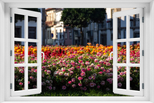 Fototapeta Naklejka Na Ścianę Okno 3D - Urban Park With Colourful Flowers, Bokeh Of Flowers & European Apartments In The Background, Braga, Portugal