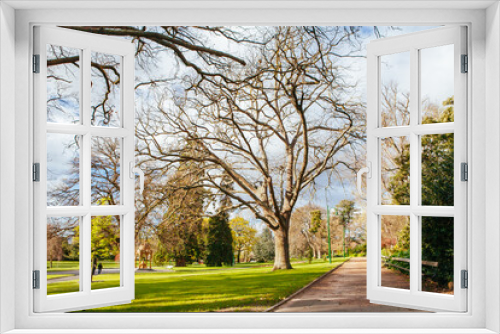 Fototapeta Naklejka Na Ścianę Okno 3D - Launceston City Park Tasmania Australia