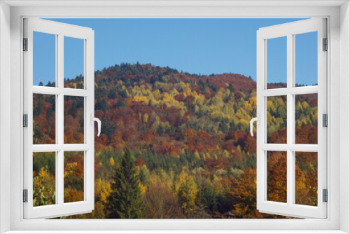 Fototapeta Naklejka Na Ścianę Okno 3D - Autumn forest in the mountains. Carpathians