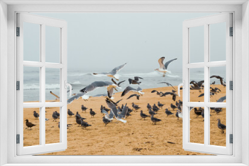 Fototapeta Naklejka Na Ścianę Okno 3D - Sand beach and flock of birds, California Central Coast