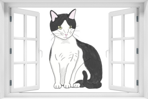 Fototapeta Naklejka Na Ścianę Okno 3D - 白黒猫の色鉛筆・水彩風イラスト