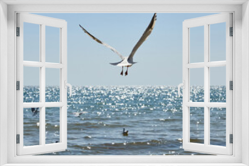 Fototapeta Naklejka Na Ścianę Okno 3D - seagulls fly over the sandy coast of the Black Sea on a summer day, Ukraine