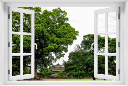 Fototapeta Naklejka Na Ścianę Okno 3D - 【熊本県】熊本城公園の風景