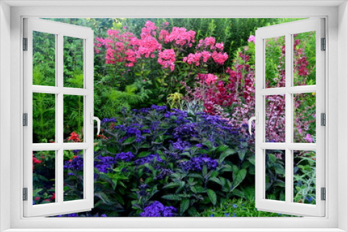 Fototapeta Naklejka Na Ścianę Okno 3D - Colorful flowers bloom in the summer garden. beautiful garden flowers