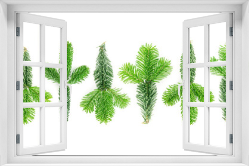 Fototapeta Naklejka Na Ścianę Okno 3D - Natural green spruce twig background or texture