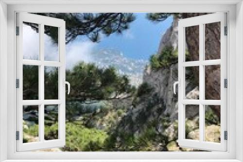 Fototapeta Naklejka Na Ścianę Okno 3D - pine tree in the mountains