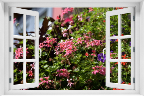 Fototapeta Naklejka Na Ścianę Okno 3D - Bunte Blumen