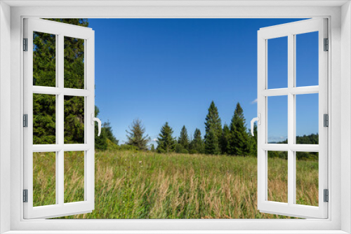 Fototapeta Naklejka Na Ścianę Okno 3D - Bieszczady panorama