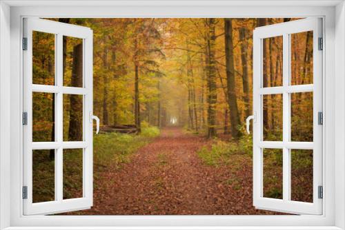 Fototapeta Naklejka Na Ścianę Okno 3D - Ein Waldweg im Herbstwald