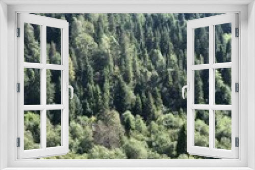 Fototapeta Naklejka Na Ścianę Okno 3D - forest in the mountains