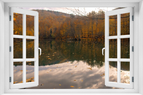 Fototapeta Naklejka Na Ścianę Okno 3D - Autumn colors. Colorful fallen leaves in the lake. Magnificent landscape. Natonial Park. Photo taken on 10th November 2018 Yedigoller. Bolu, Istanbul, Turkey.