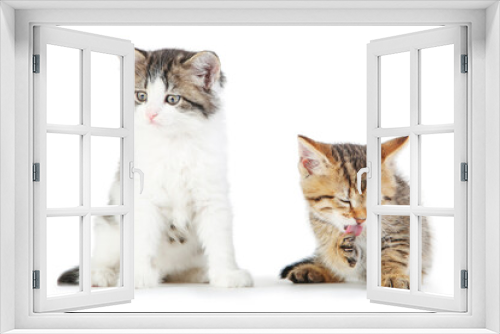 Fototapeta Naklejka Na Ścianę Okno 3D - Beautiful kittens isolated on white background