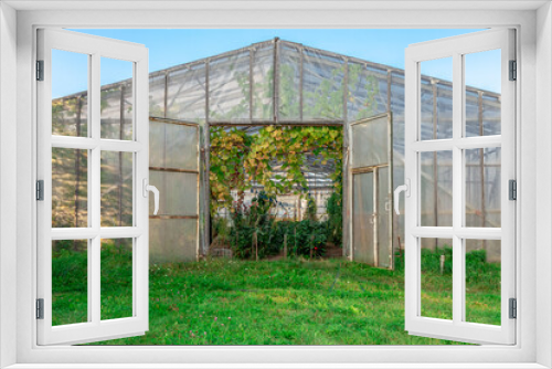 Fototapeta Naklejka Na Ścianę Okno 3D - Abandoned greenhouse with polyethylene film 