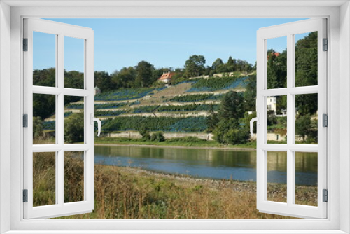 Fototapeta Naklejka Na Ścianę Okno 3D - Weinhang in Dresden an der Elbe