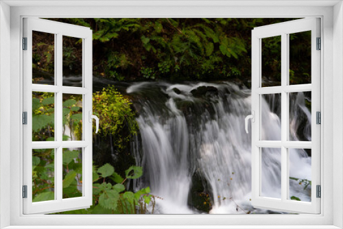 Fototapeta Naklejka Na Ścianę Okno 3D - 新緑と苔と滝