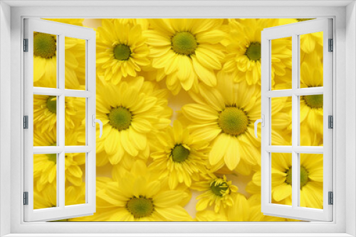 Fototapeta Naklejka Na Ścianę Okno 3D - Yellow camomile, flower background, yellow georgina pattern photography, august bright flowers