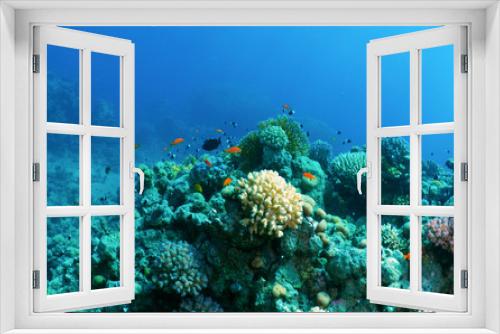 Fototapeta Naklejka Na Ścianę Okno 3D - Underwater background