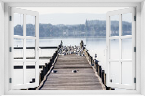Fototapeta Naklejka Na Ścianę Okno 3D - an abandoned pier full of seagulls