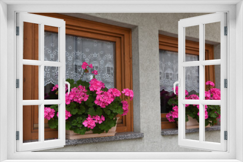 Fototapeta Naklejka Na Ścianę Okno 3D - finestra con fiori fioriera fiorirai 
