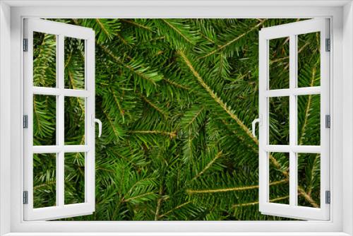 Fototapeta Naklejka Na Ścianę Okno 3D - Close up background of fresh green spruce branches