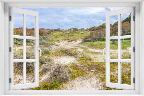 Fototapeta Naklejka Na Ścianę Okno 3D - Landscape with dunes under a clouded sky, national park Meijendel