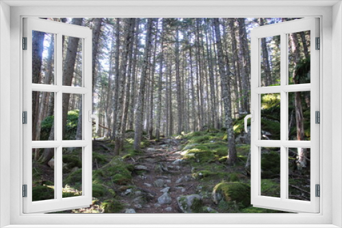 Fototapeta Naklejka Na Ścianę Okno 3D - The Appalachian Trail winding through the Maine Wilderness
