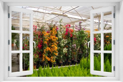Fototapeta Naklejka Na Ścianę Okno 3D - Flores de colores